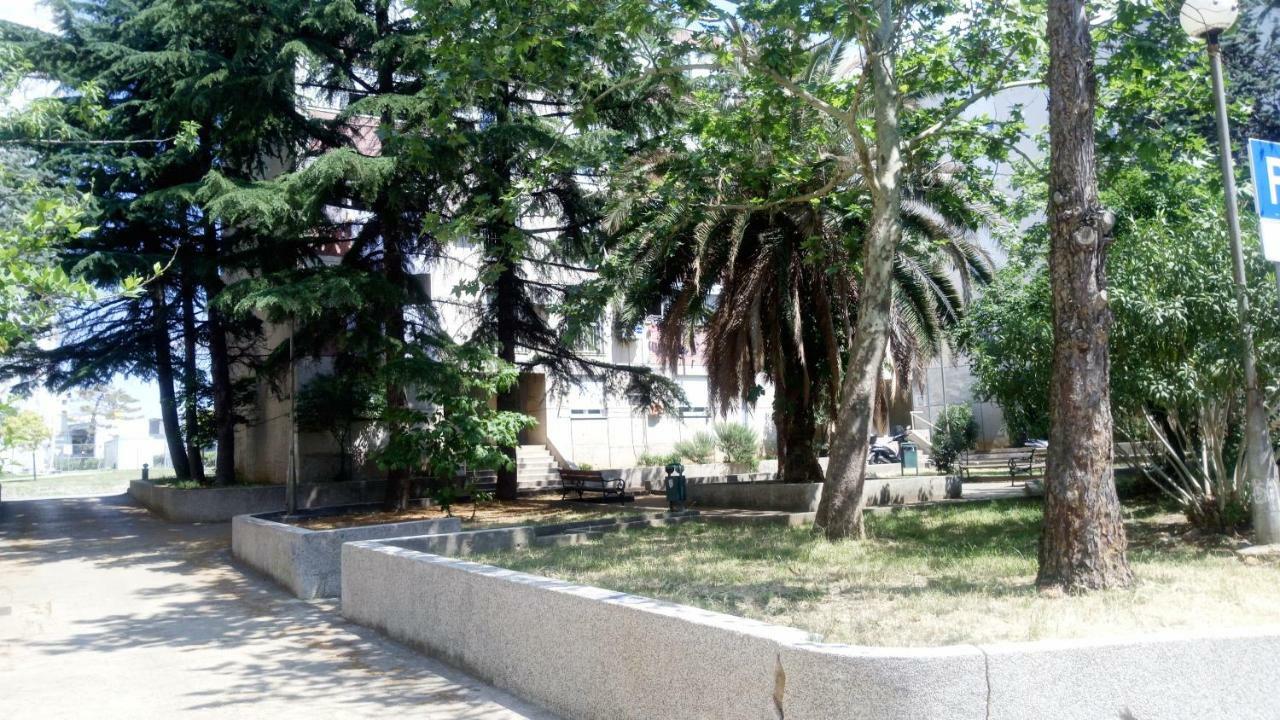 Apartments Zara- Zd Bagian luar foto